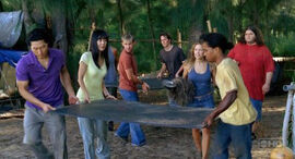 3X11 SurvivorsPingPongTable