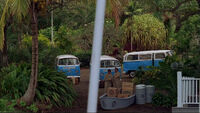 3x20 DHARMA buses