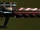 Plasma Cannon