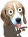 Dog.png