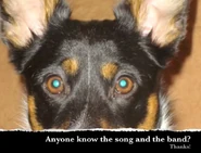 Image used by the original uploader, Gary Tuck.