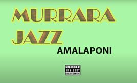 Amalaponi