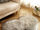 Fur Rugs