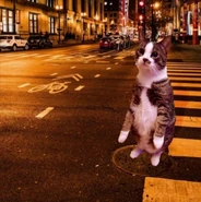 First associated image.