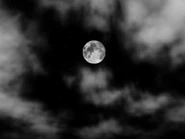 Image used by marksaw