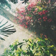 Paradise2.jpeg (1.59 MB) Image used by S2h.