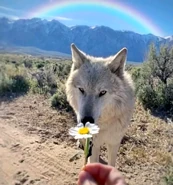 Image used by Mike Worst.