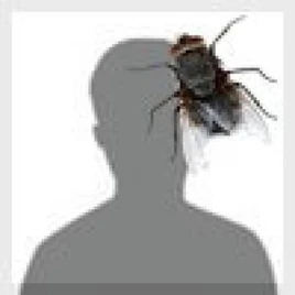 Profile picture (WatZatSong)