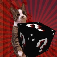 Collage of the previous two images, with a slightly visible image of the cover of Carpark, used in the r/FactoryForLove Subreddit.