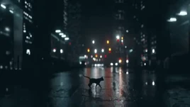 Walkoutintherain