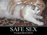 Safe Sex Is Just A Fantasy