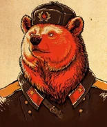 Image used Zumi.