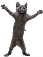 Image used by SpikeytheCactus.