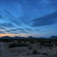 EasternWind10.jpeg (226 KB)