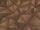 Paranoid Brown
