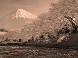 Azayakana Atsui Yume