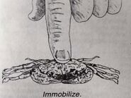 Image used by Unidentified Rock'N'Metal