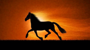 Image used by q for her upload of the song.