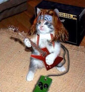 Image used by Mike Worst