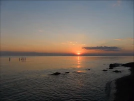 MOONLIGHT MOONNIGHT FOR ME