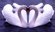 image originally used by Ziro for her upload of the song.