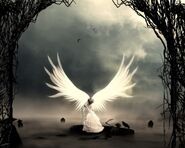 Image used by Aero