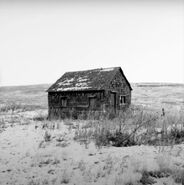 Image used by Lost Music: Cold Case.