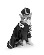 Image used by BloostMedia