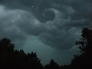 Image used by Tangy the toon.