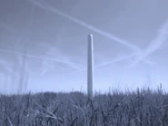 Woman3.jpeg (263 KB)