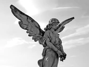 PrettyLittleAngel.jpeg (764 KB) Image used by Q.