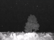 Image used by MistaEgg