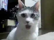 Captured image from　warota2nikki's famous video, used by Lostwave's Unfinest.