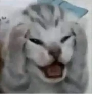 Image used by P(aper).