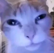 Image used by MistaEgg