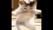 Image used by p.