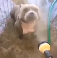 TimeWillCatchUs5.jpeg (769 KB)