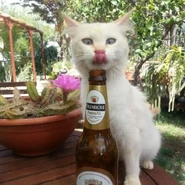 Image used in Lostwave's Unfinest's upload.