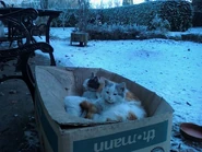 Image used by MusicChannel72.