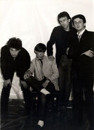 Members of Sinking Ships.