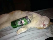 Image used by Lostwave's Unfinest.