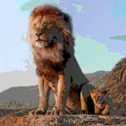 Same image but cropped.