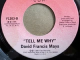 Tell Me Why (by David Francis Mays)