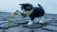 Image used by Ofrix's YouTube upload.