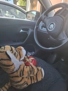 Wildthinge.jpg (176 KB) Image used by MI123RUS.