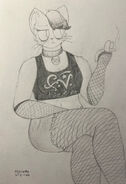 Ditto, but redrawn.