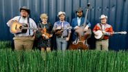 Bluegrass, the possible artists