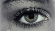 Image used by Zumi.