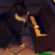 Image used by P