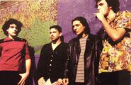 Band Picture.